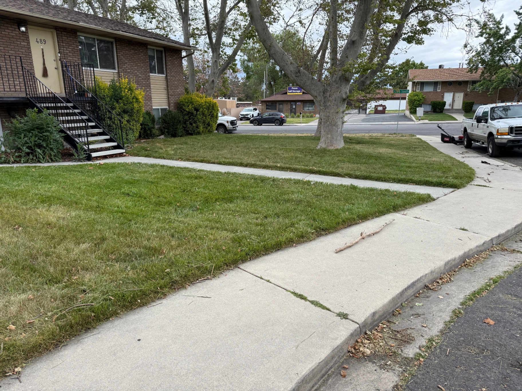 After — Mowed · trimmed · cleaned up